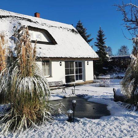 Reetferienhaus - Schaprode Hafen Экстерьер фото