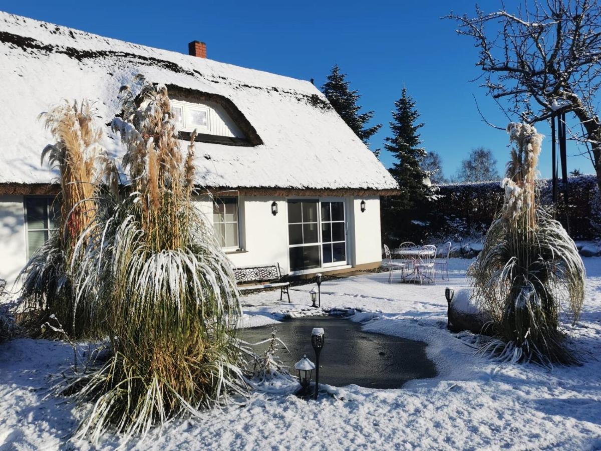 Reetferienhaus - Schaprode Hafen Экстерьер фото